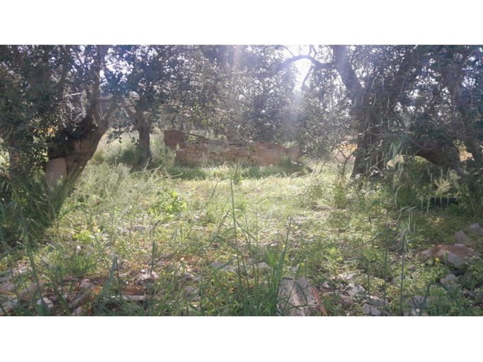 Image No.15-3 Bed House for sale