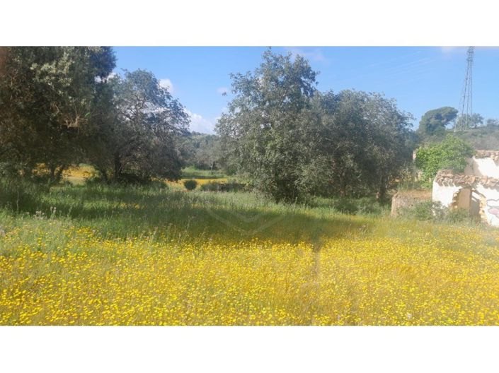 Image No.2-3 Bed House for sale