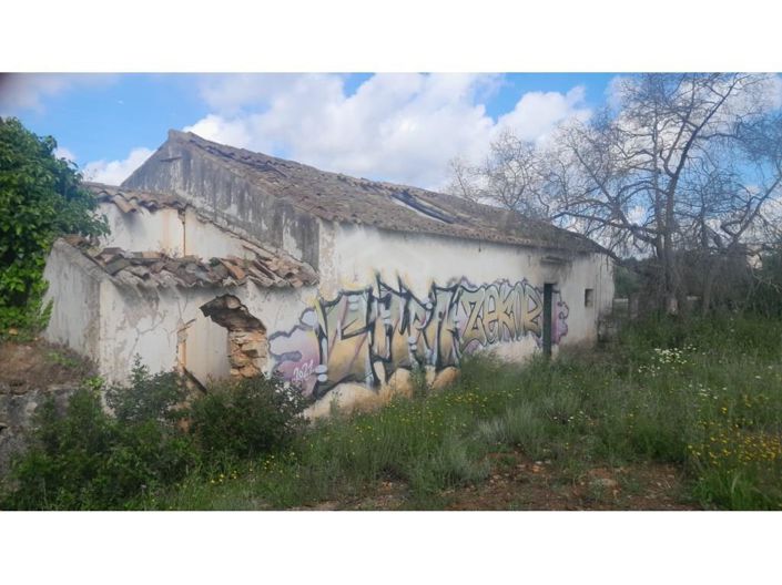 Image No.5-3 Bed House for sale