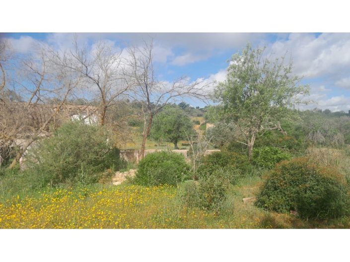 Image No.8-3 Bed House for sale