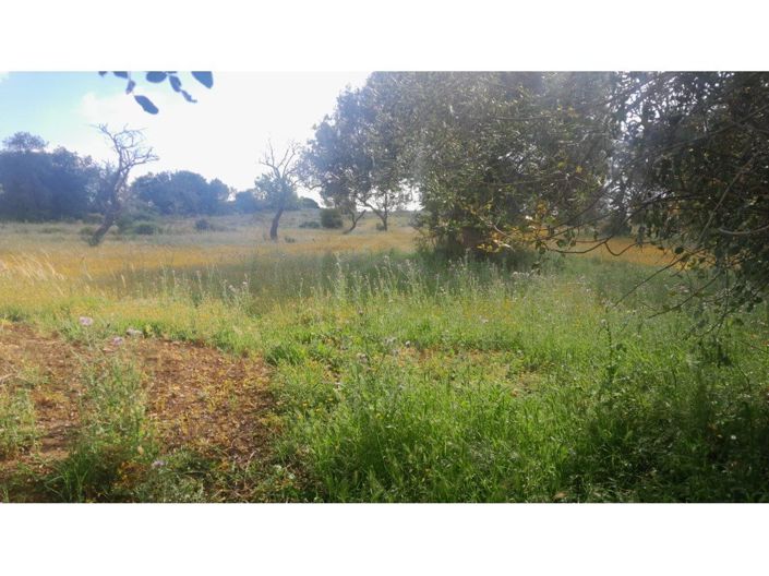 Image No.9-3 Bed House for sale