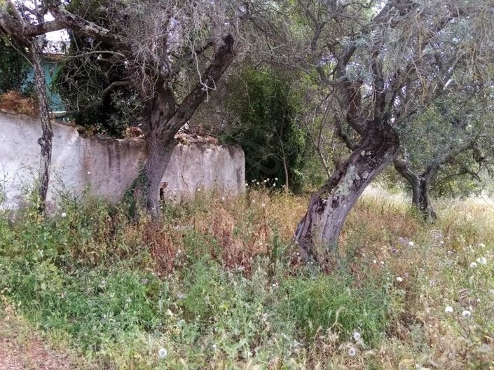 Image No.15-Maison de 2 chambres à vendre à Loule