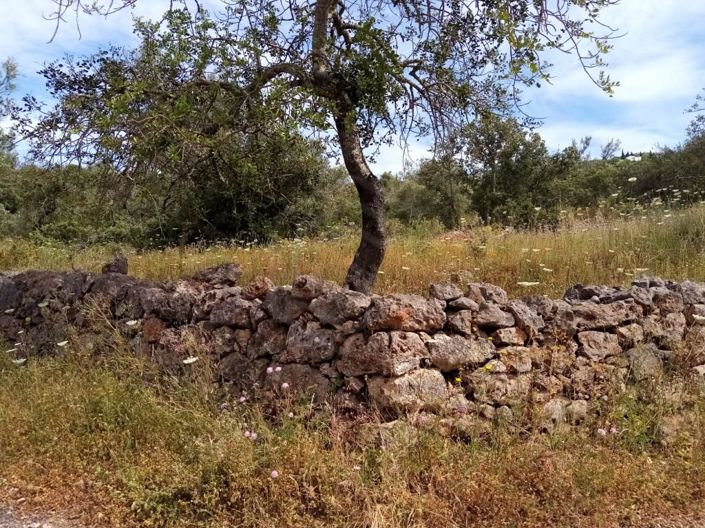 Image No.17-Maison de 2 chambres à vendre à Loule