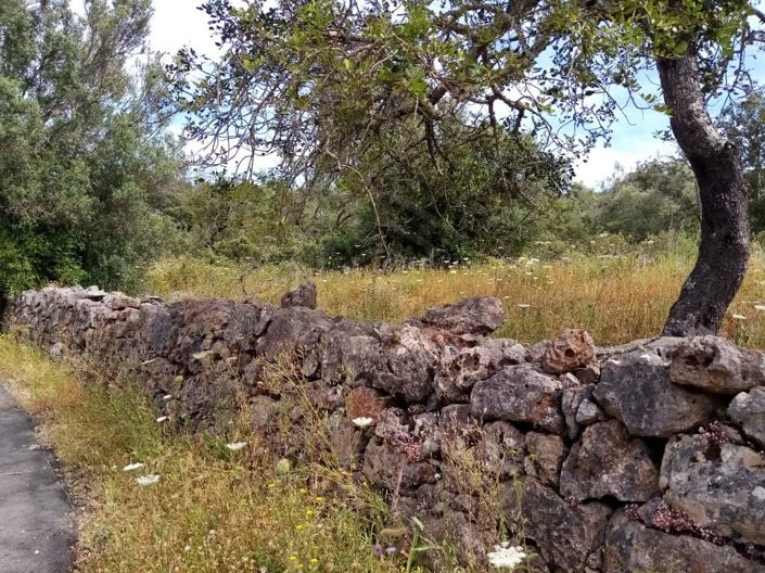 Image No.19-2 Bed House for sale