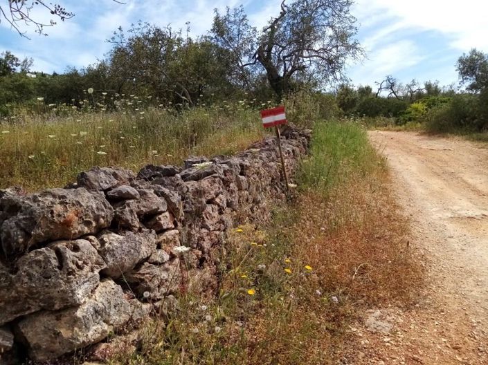 Image No.20-2 Bed House for sale