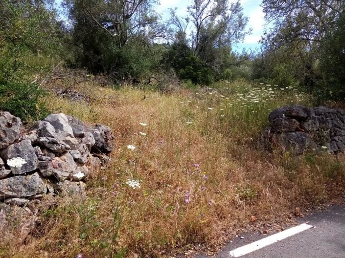 Image No.21-Maison de 2 chambres à vendre à Loule