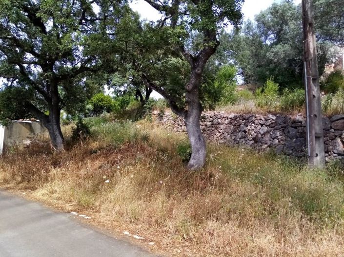 Image No.22-Maison de 2 chambres à vendre à Loule