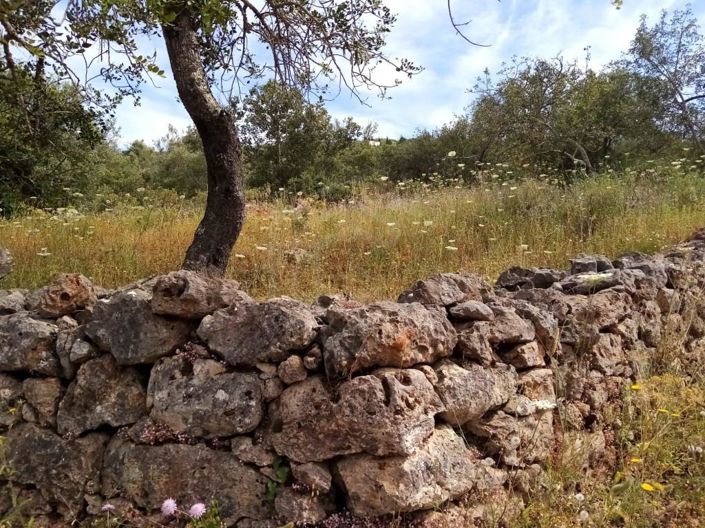 Image No.24-2 Bed House for sale