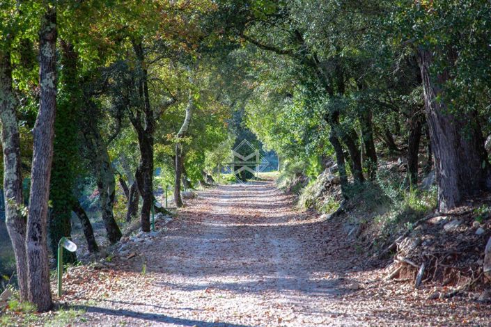 Image No.8-4 Bed House for sale