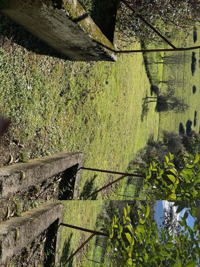 Image No.12-4 Bed House for sale