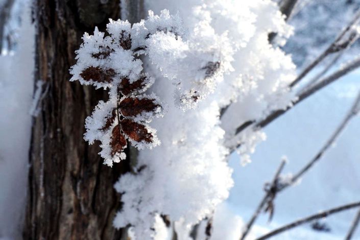 Image No.1-Maison à vendre à Chamonix-Mont-Blanc