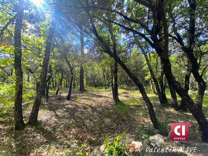 Image No.16-4 Bed House for sale