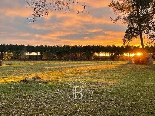 Image No.29-8 Bed House for sale