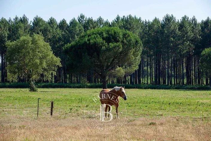 Image No.4-8 Bed House for sale