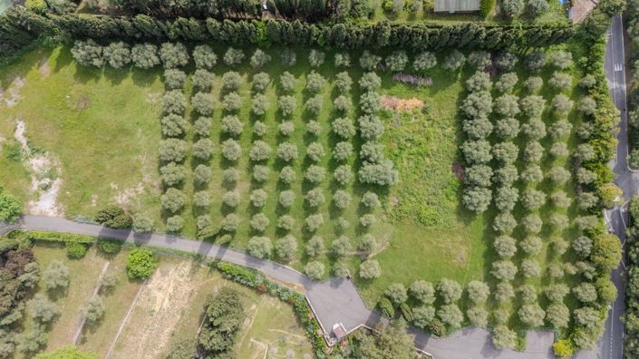 Image No.24-11 Bed House for sale