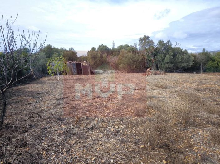 Image No.17-Maison de 5 chambres à vendre à Faro City