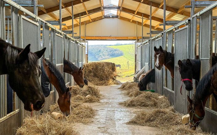 Image No.2-3 Bed House for sale