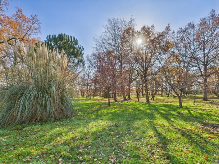 Image No.4-Maison de 11 chambres à vendre à Condom