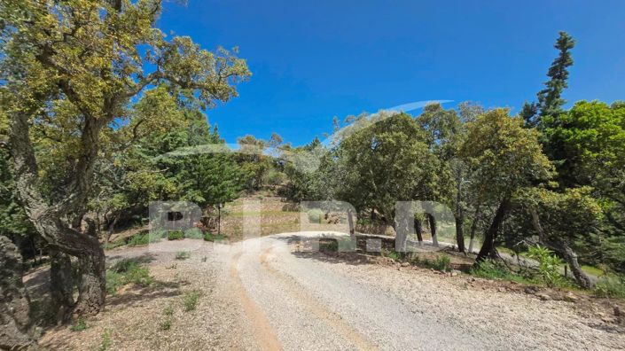 Image No.15-Maison de 4 chambres à vendre à Fréjus