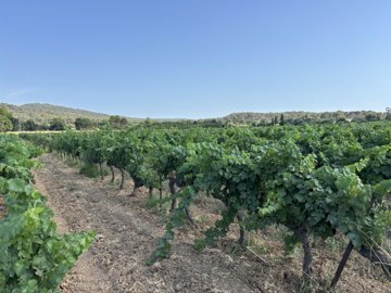 Maison de 6 chambres à vendre à Cuers