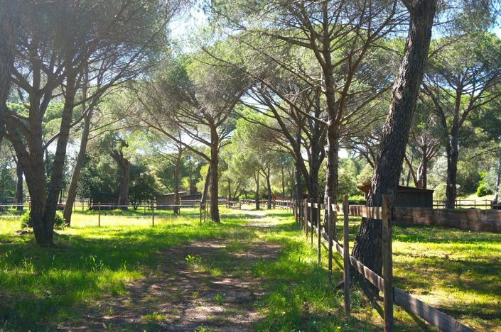 Image No.12-2 Bed House for sale