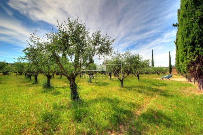 Image No.28-5 Bed House for sale