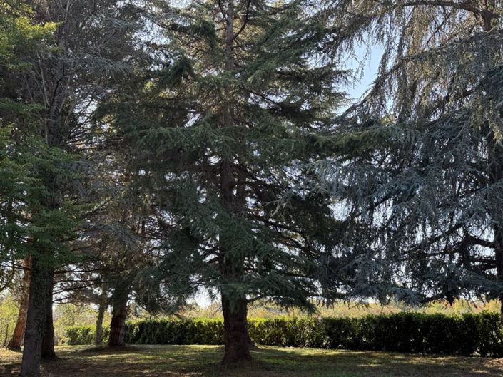 Image No.18-Maison de 4 chambres à vendre à Trie-sur-Baïse