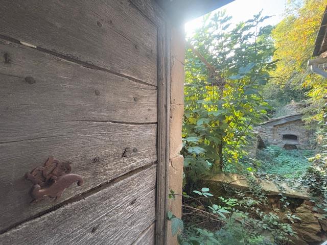 Image No.5-Maison à vendre à Le Dourn