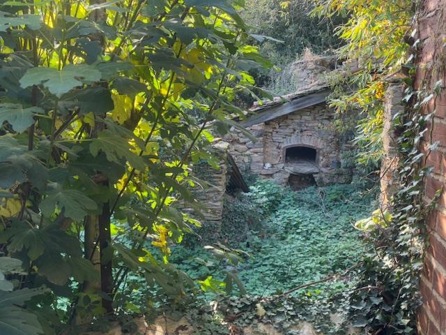 Image No.6-Maison à vendre à Le Dourn