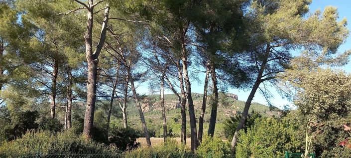 Image No.2-3 Bed House for sale