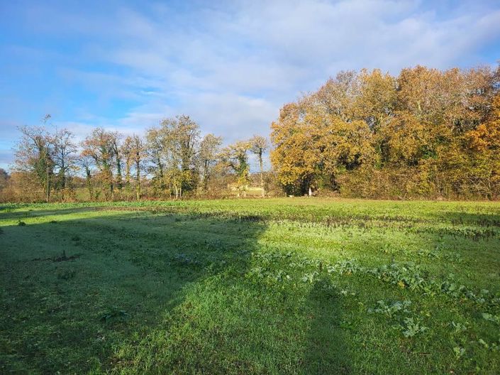 Image No.8-Maison de 3 chambres à vendre à Marsalès