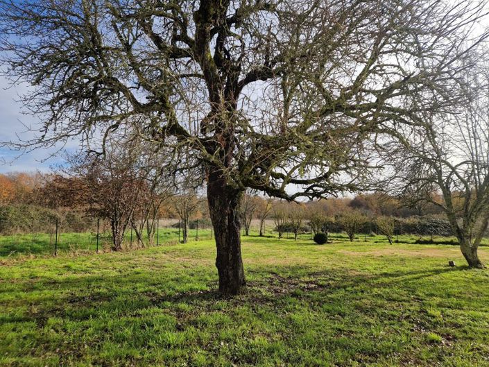 Image No.2-Maison de 3 chambres à vendre à Gironde