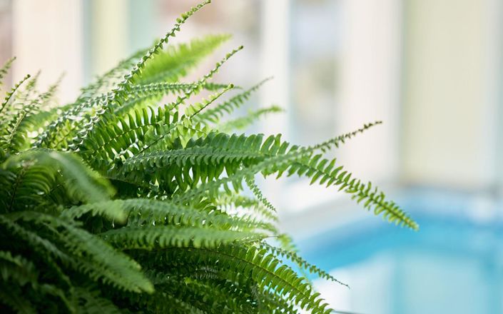 Image No.15-4 Bed House for sale