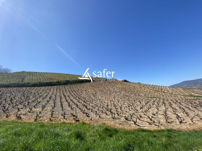 Image No.18-6 Bed House for sale