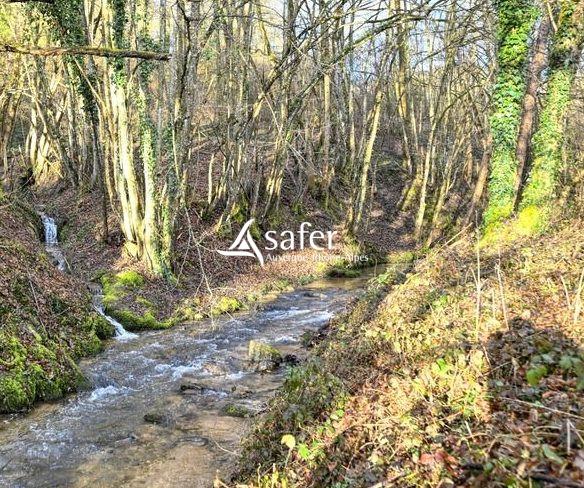 Image No.6-Maison de 1 chambre à vendre à Thurins