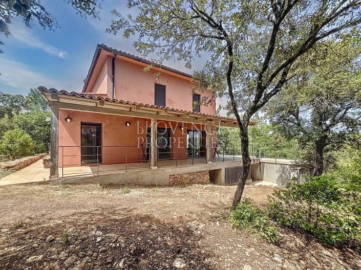 Image No.8-12 Bed House for sale