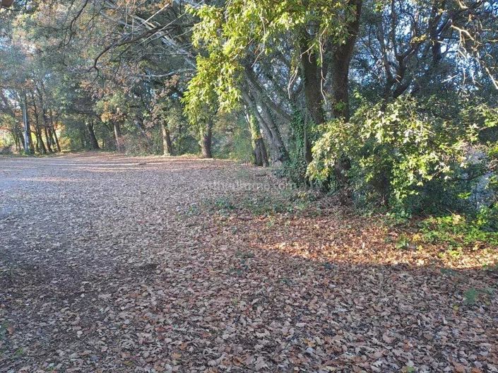 Image No.5-Maison de 5 chambres à vendre à Salernes