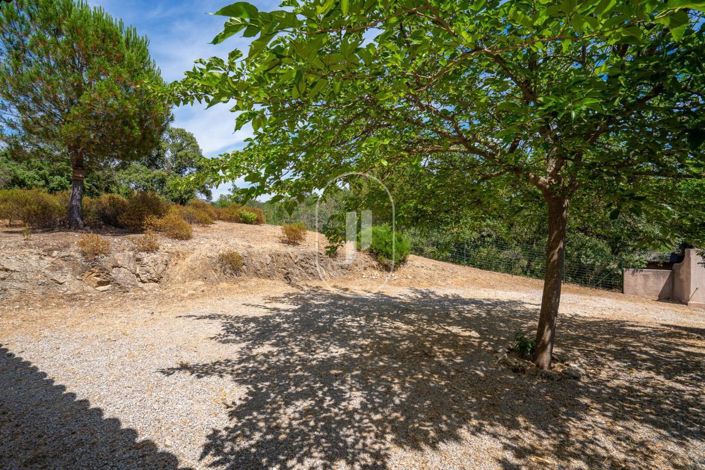 Image No.3-3 Bed House for sale