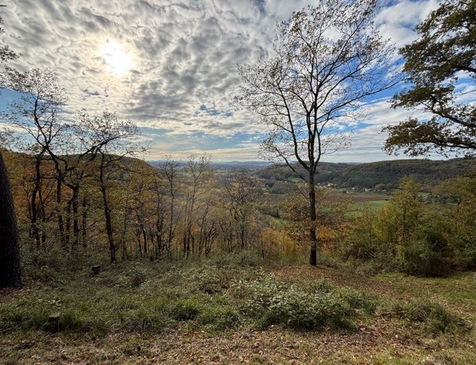 Image No.3-4 Bed House for sale