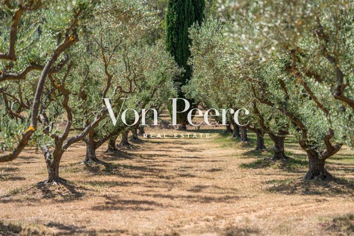 Image No.34-Maison de 5 chambres à vendre à Maussane-les-Alpilles