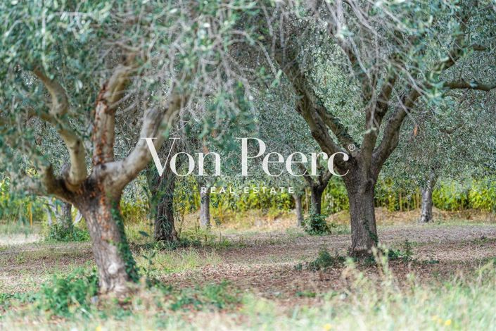 Image No.3-5 Bed House for sale