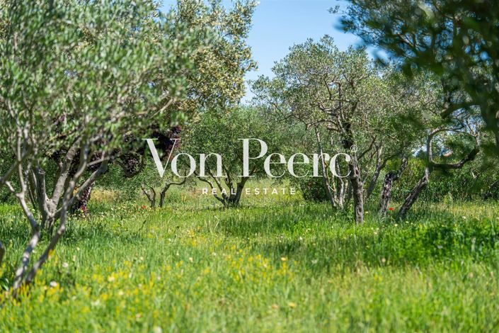 Image No.10-6 Bed House for sale