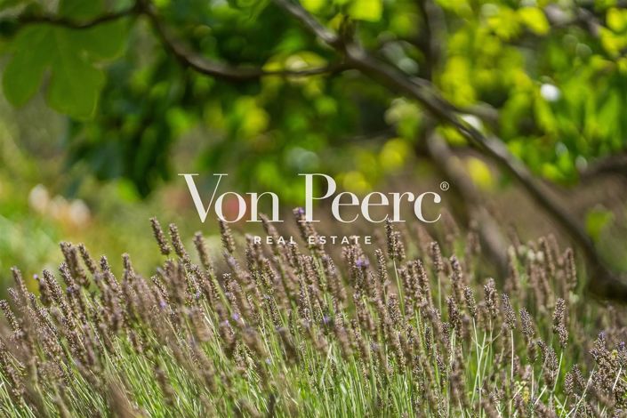 Image No.24-5 Bed House for sale