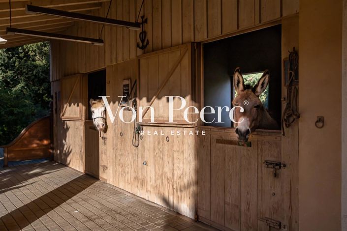 Image No.16-7 Bed House for sale