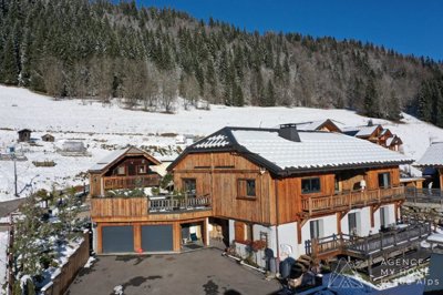 1 - La Côte-d'Arbroz, Propriété