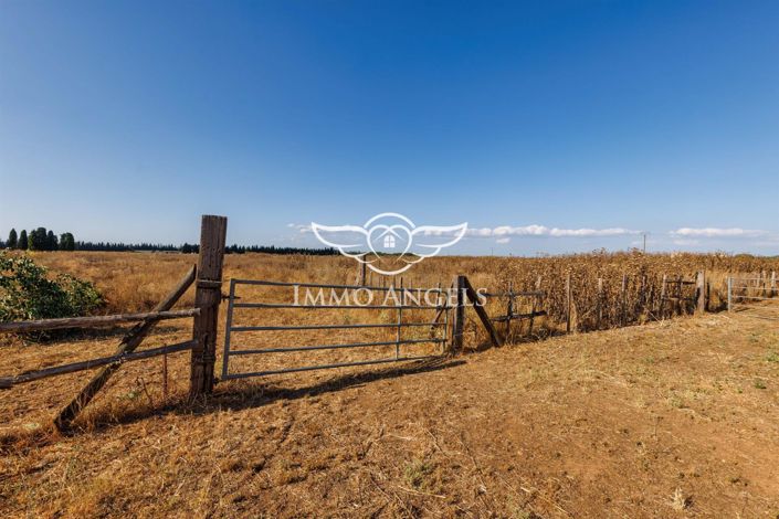 Image No.24-12 Bed Property for sale