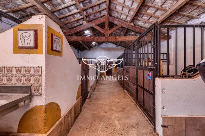 Image No.25-12 Bed Property for sale