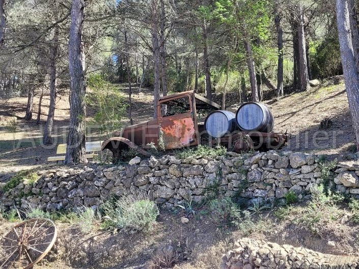 Image No.19-Propriété de 9 chambres à vendre à Durban-Corbières