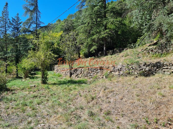 Image No.19-4 Bed House for sale