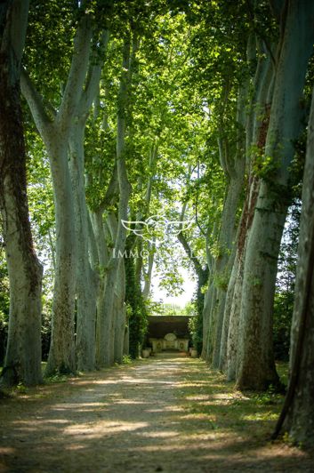 Image No.22-Propriété de 24 chambres à vendre à Pézenas